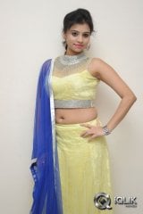 Priyanka at Adhee Lekka Movie Platinum Disc Function